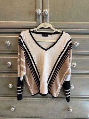 Tahari Cream, Beige and Black Striped V-Neck Sweater